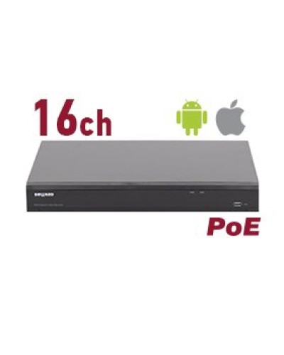RK2216-P. Видеорегистратор IP 16-канальный. Beward во Владимире