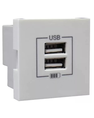 Розетка USB двойная, зарядная, белая (45439 SBR): Розетка USB двойная во Владимире
