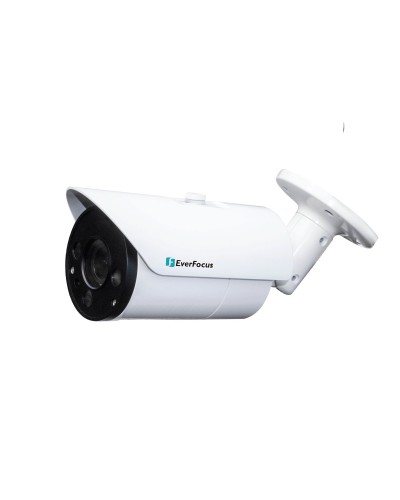 EZN-268V. Видеокамера IP купольная. EverFocus во Владимире