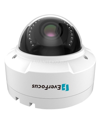 EHN-1250. Видеокамера IP купольная. EverFocus во Владимире