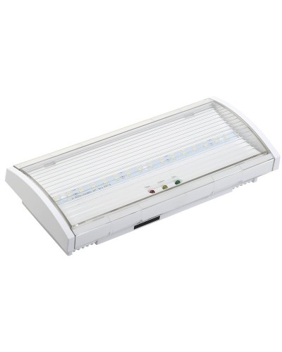 Светильник аварийный ДПА 5043-3 10-24/220В 3ч IP54 LIGHTING (LDPA1-5040-3-54-K01). Светильник аварийный постоянного действия. IEK во Владимире