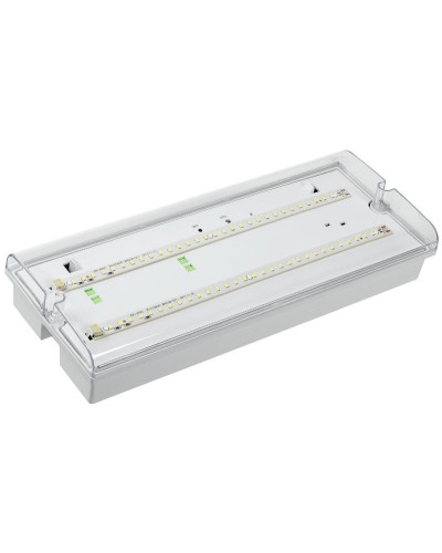 Светильник аварийный ДПА 5042-3 3ч IP65 LIGHTING (LDPA0-5042-3-65-K01). Светильник аварийный универсальный. IEK во Владимире