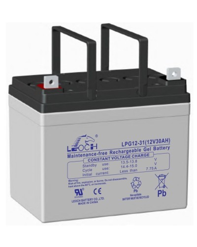 LEOCH LPG 12-31. Аккумулятор герметичный свинцово-кислотный. LEOCH во Владимире