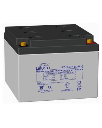 LEOCH LPG 12-24. Аккумулятор герметичный свинцово-кислотный. LEOCH во Владимире