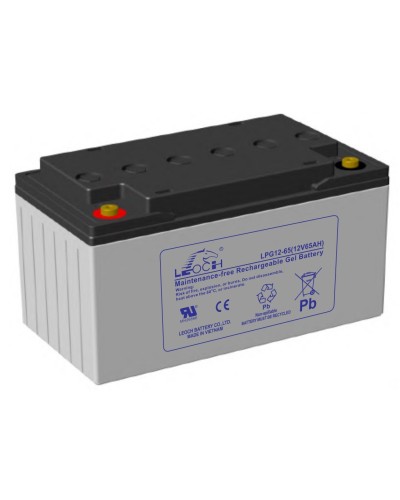 LEOCH LPG 12-65. Аккумулятор герметичный свинцово-кислотный. LEOCH во Владимире