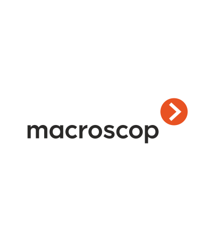 Расширение с LS до ST. Программное обеспечение (опция). MACROSCOP во Владимире