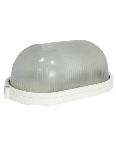 SKAT LED-220 E27 IP54 (2454). Лампа аварийного освещения. Бастион во Владимире