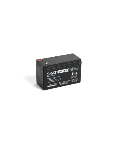 SKAT SB 1209 (2540). Аккумулятор герметичный свинцово-кислотный. Бастион во Владимире