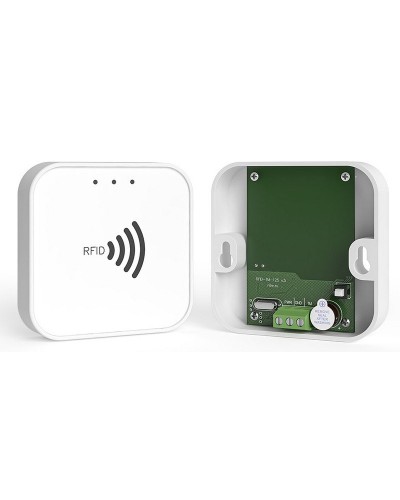 RFID-TM. Считыватель RFID. Ритм во Владимире