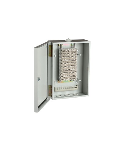 ШРН-В/100-Р (120908-00122). Шкаф ШРН-В/100-Р, плинт ПВТ-10Р-5е. ССД (Связьстройдеталь) во Владимире
